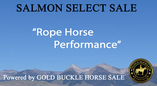 Rope Horse Performance