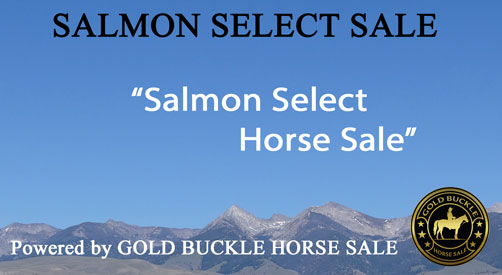 Salmon Select Horse Sale